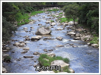 夏の大戸川