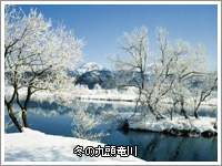 冬の九頭竜川